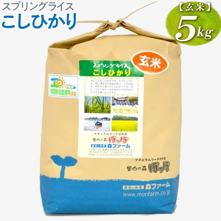 【新米】スプリングライス こしひかり (玄米)5kg | 米 こめ コメ 5キロ 玄米 こしひかり コシヒカリ 古河市産 茨城県産 取り寄せ お取り寄せ ギフト 贈答 贈り物 プレゼント お中元 お歳暮 茨城県 古河市 直送 農家直送 産地直送 _BI66