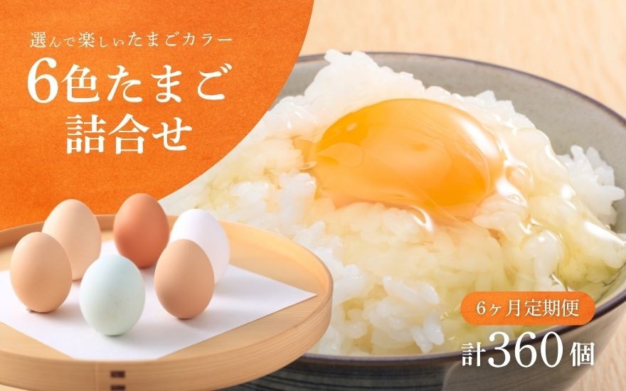 
                  【 定期便 6ヶ月 】 卵 6色たまご 食べ比べ 60個 × 6回 産みたて卵 | 産みたて 卵 玉子 タマゴ 鶏卵 卵かけご飯新潟県 五泉市 産みたてたまごのキムラファーム
                