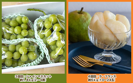 【定期便４回】ノノハナフルーツ 山形人気のフルーツ たっぷり満足便【令和8年産先行予約】FS25-071