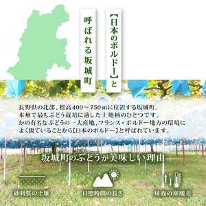 シャインマスカット 富山葡萄園 冷蔵 長野県産 シャインマスカット【2kg以上 3〜4房】【冷蔵】