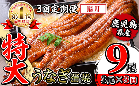 i1174-B ＜定期便・計3回(隔月)＞＼特大サイズ／鹿児島県産 うなぎ蒲焼 3尾セット＜（約220g×3・計約660g）×全3回＞ 定期便 たれ 山椒付きうなぎ 鰻 ウナギ 特大 特大サイズ 約220g 蒲焼き 国産 鹿児島県産 焼きたて 生産量日本一 真空パック おかず 晩御飯 特別な日 土用の丑の日 【薩摩川内鰻】