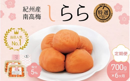 【6カ月定期便】 紀州産南高梅 梅干し しらら （塩分5％）700g（350g×2入） / A級品 梅干し 梅干 梅 中田食品 和歌山 田辺 紀州南高梅 南高梅 うす塩 減塩 塩分控えめ ご飯のお供【nkt016-tk】