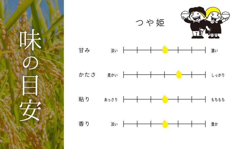 【先行予約】宮城県角田市産米【令和7年産】つや姫 5kg×1【10月中旬より順次発送】