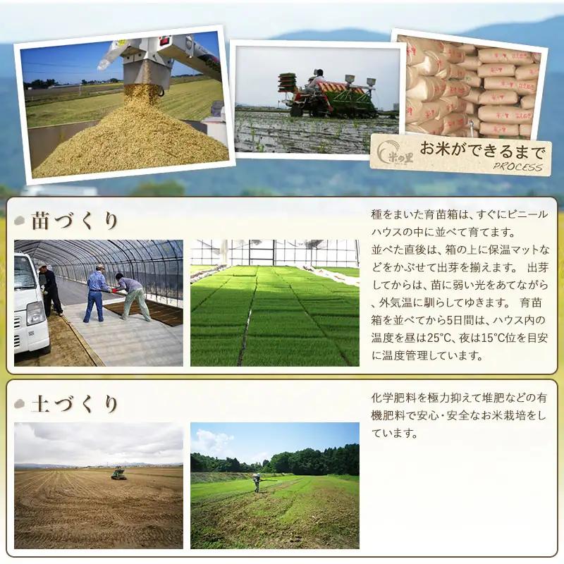 【令和8年産】 米の里の特別栽培米 雪若丸 精米 10kg（5kg×2袋）　山形県鶴岡市産 | 白米 特栽 2026年産 ブランド米 庄内　K-890