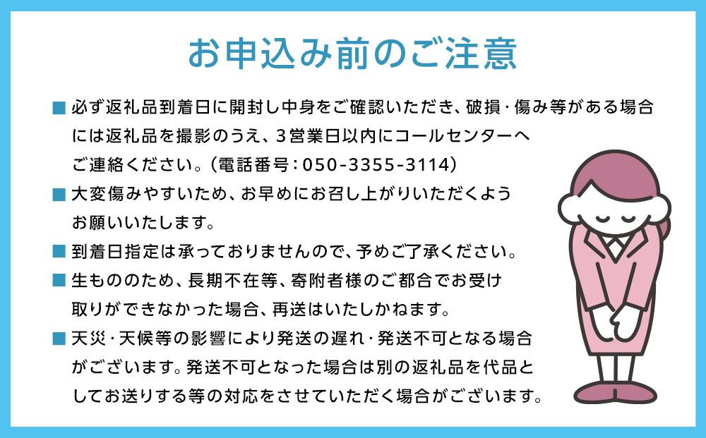 岡山県産 フルーツ定期便全３回＜お一人様向け＞