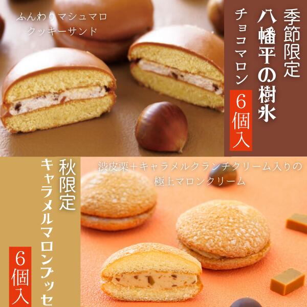 【ふるさと納税】八幡平の樹氷チョコマロン6個入と盛岡キャラメルマロンブッセ6個入 菓子 お菓子 焼菓子 焼き菓子 クッキーサンド ブッセ マロン 栗 岩手県 盛岡市　お届け：2025年9月1日～2026年1月31日