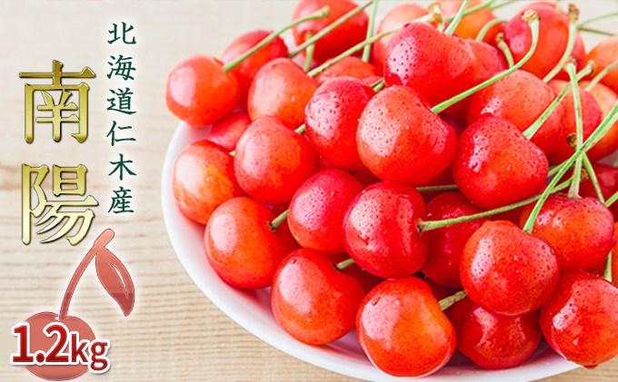 2026年発送 北海道 仁木町産 さくらんぼ 南陽 1.2kg（300g×4パ