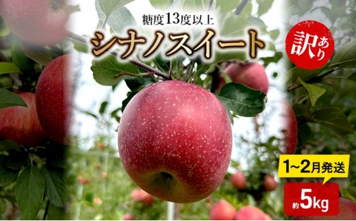 
                  りんご【1月～2月順次発送】糖度13度以上 訳あり品 家庭用 シナノスイート 約5kg【青森りんご】
                