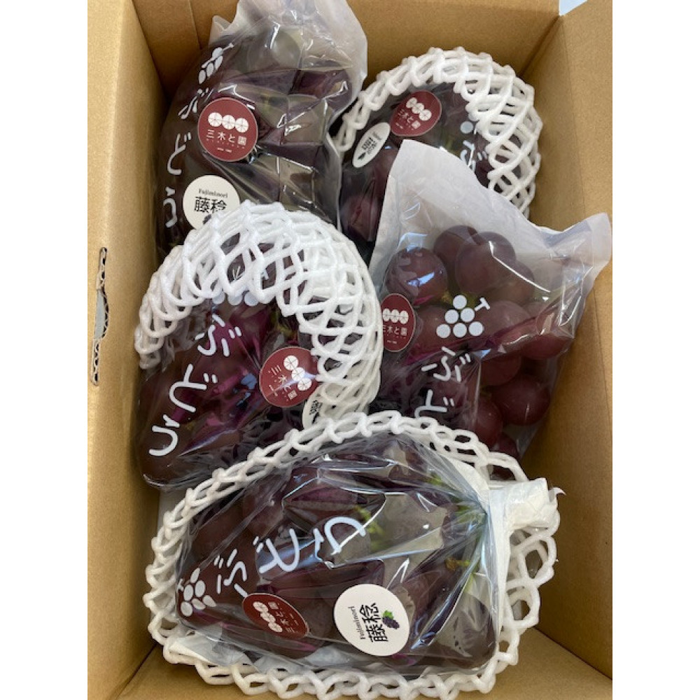 (先行予約)有田巨峰村三木と園のあま～いジューシー！ 種あり 藤稔（ふじみのり）2kg（4～6房）