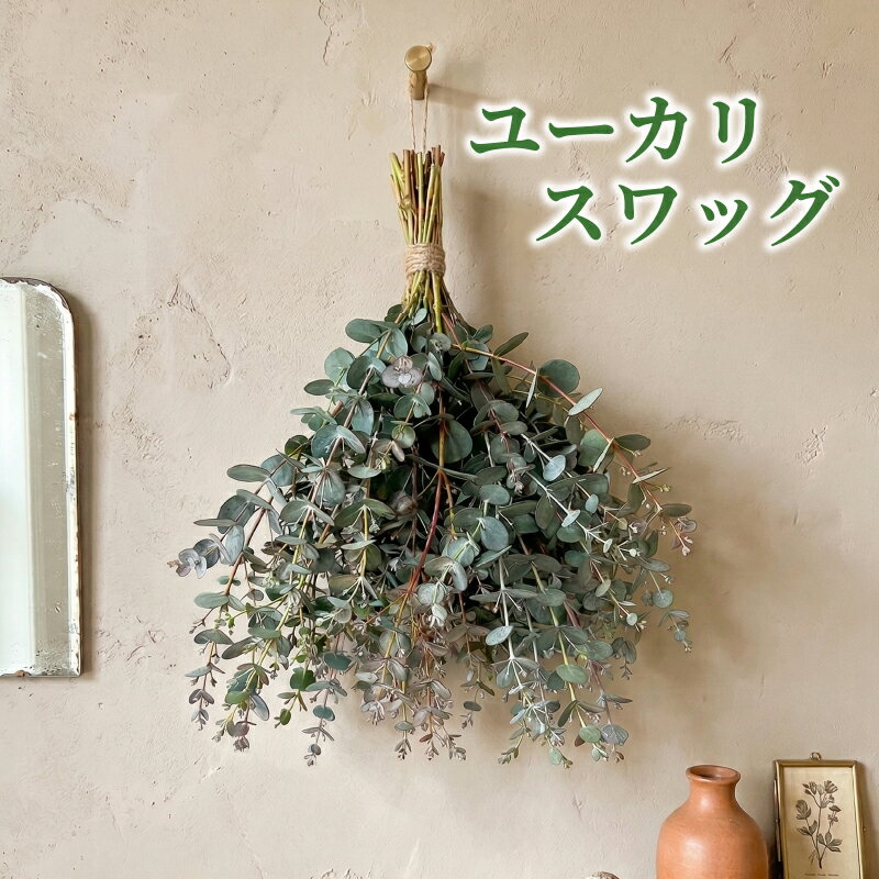 【ふるさと納税】 フレッシュ グニユーカリ スワッグ / 約30cm 約30本 | 【2026年9月上旬頃より順次発送予定】 ユーカリ スワッグ ユーカリスワッグ ゆーかり 生葉 壁掛け インテリア ナチュラル ギフト 贈り物 グニユーカリ 送料無料 愛媛県 松山市