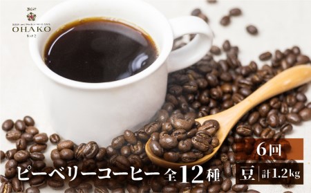 【定期便】珈琲豆 おまかせ 全12種類ピーベリーを楽しめる 毎月2種100gずつ×6回 コーヒー豆[Q2815]