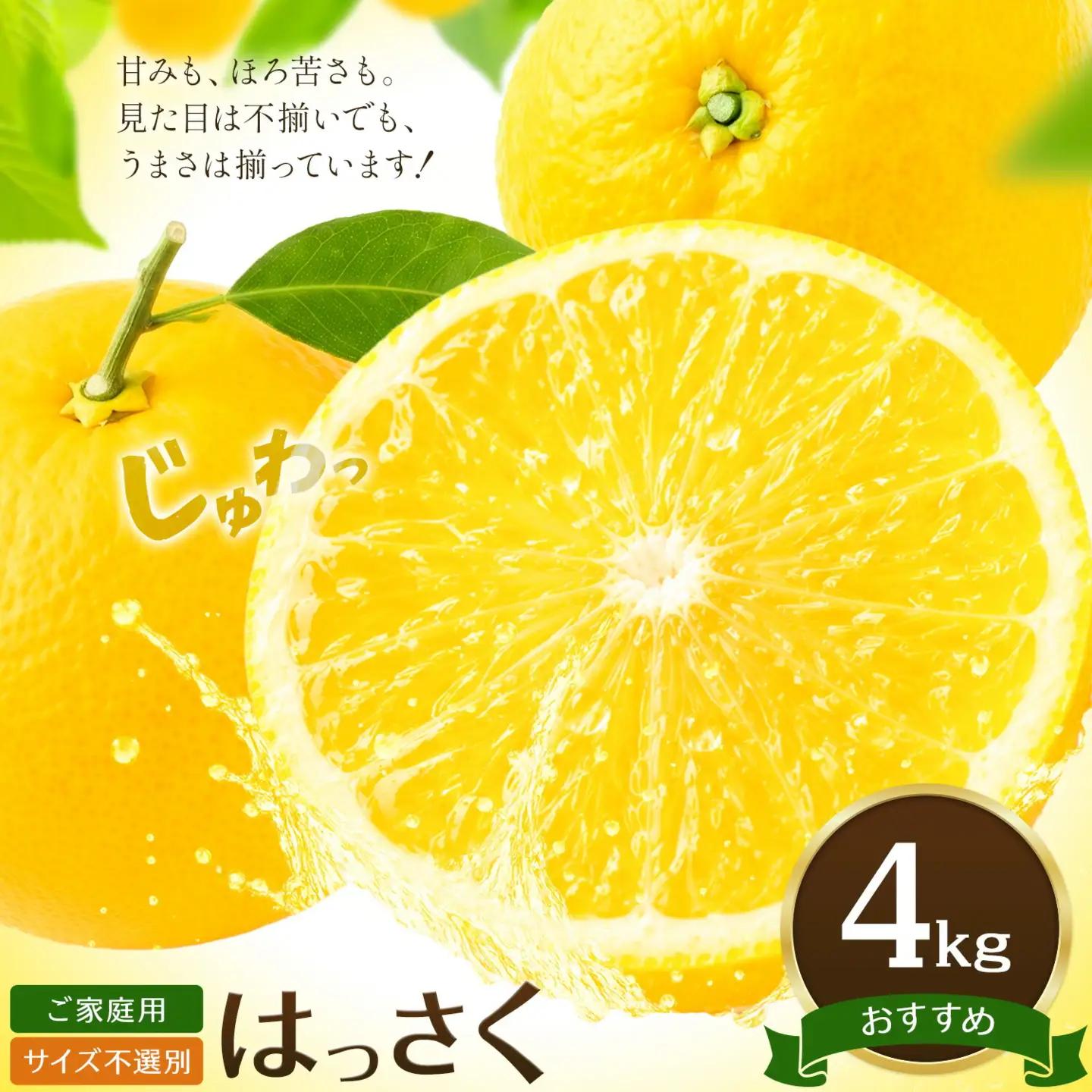  ご家庭用はっさく 4kg 八朔