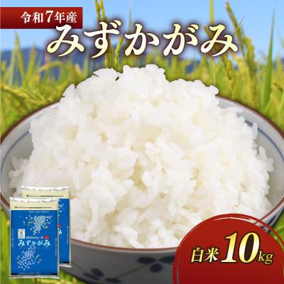 ふるさと納税 彦根市 令和7年産新米みずかがみ白米10kg(5kg×2袋)  和食の旨味を引き立てるさっぱりとした味わい