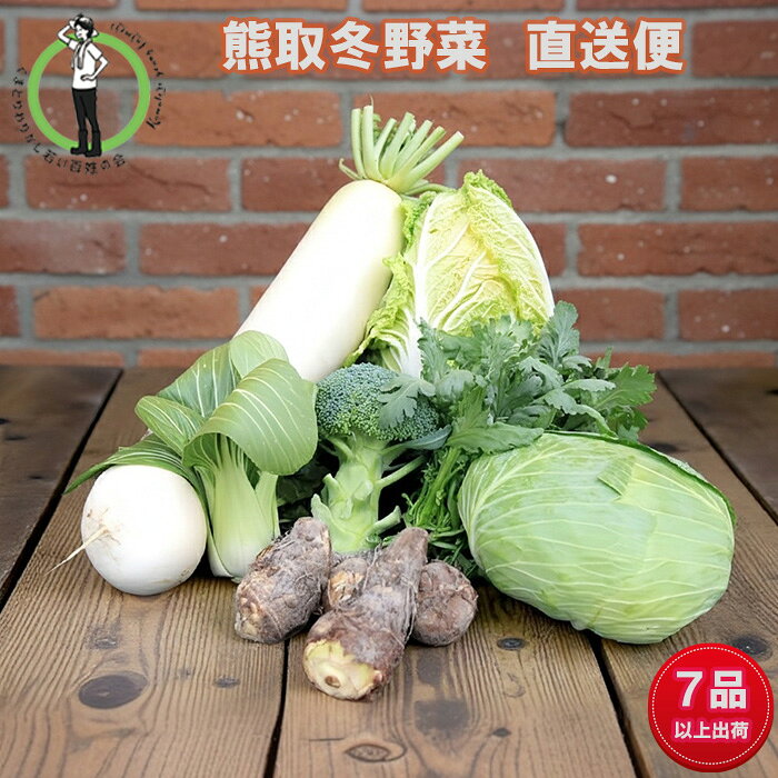 【ふるさと納税】「わりかし若い百姓の会」が育てた熊取冬野菜（7品目以上）詰め合わせセット（033_5005）