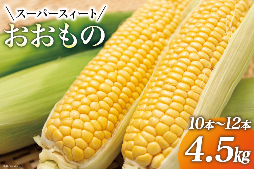 
            【期間限定発送】 とうもろこし スイートコーン 『おおもの』4.5kg (10本～12本) [黒木ふぁーむ 宮崎県 日向市 452060140] トウモロコシ 糖度
          