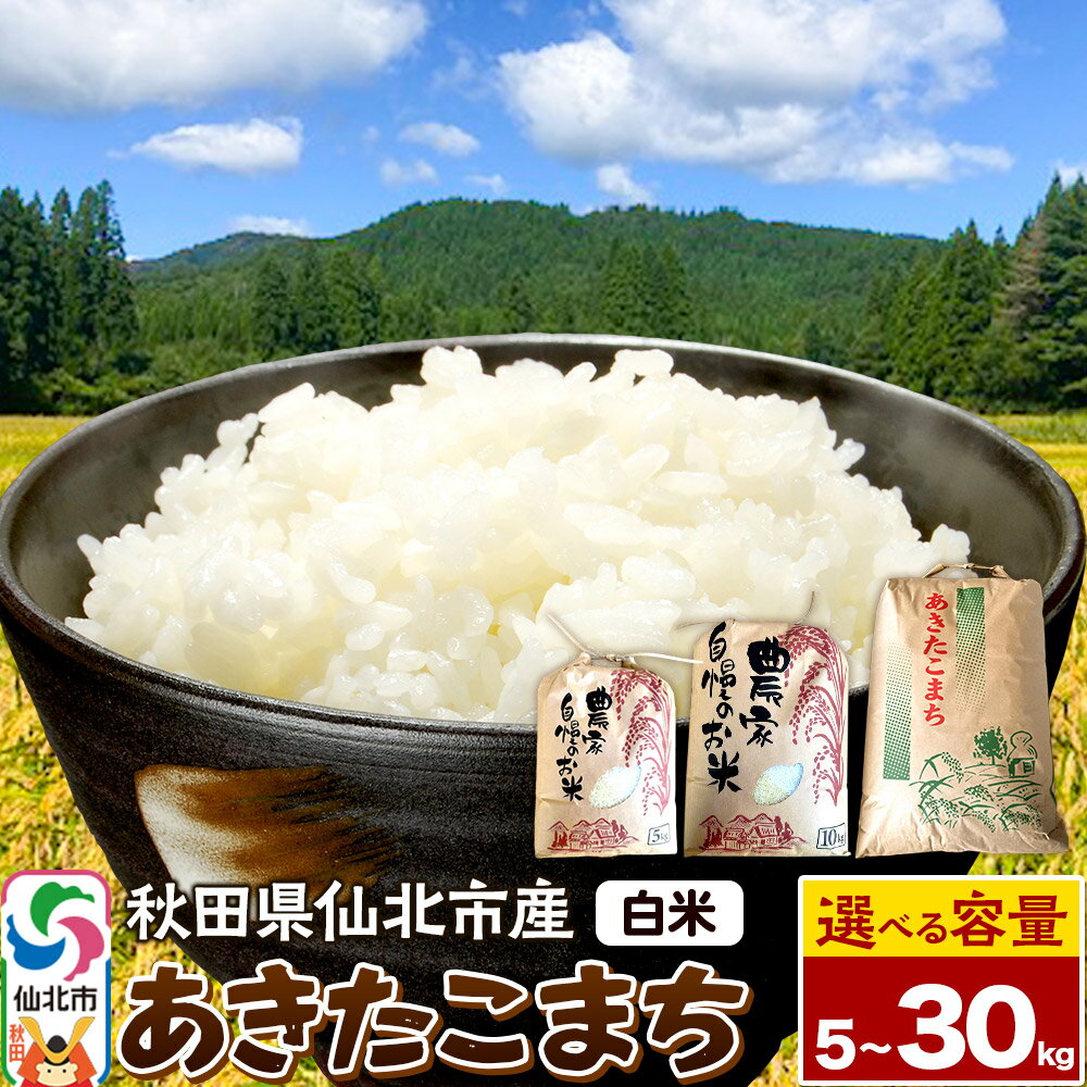 【ふるさと納税】【白米】令和7年産 あきたこまち【選べる容量5kg／10kg／30kg】米 お米 こめ 精米 秋田県 仙北市産