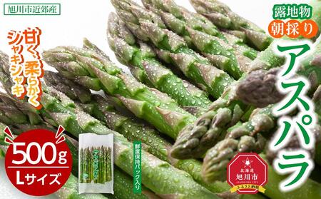 露地物朝採りアスパラ　鮮度保持フィルム入り　Lサイズ　500g×1 | アスパラ アスパラ アスパラ アスパラ アスパラ アスパラ _04750