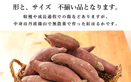 さつま芋　紅はるか　サイズ混合　3kg | 兵庫県 丹波篠山市 さつまいも サツマイモ さつま芋 甘い ホクホク 焼き芋 焼芋 焼いも おいしい 美味しい ねっとり 天ぷら ポテト お野菜セット 食物