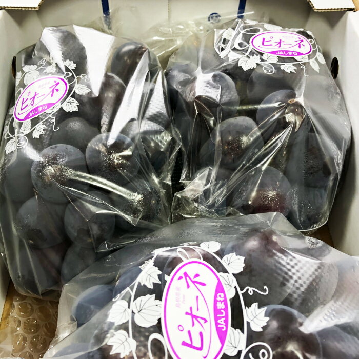 【ふるさと納税】 ピオーネ 種なし 2kg 3房〜5房 果物 フルーツ ぶどう ブドウ ピオーネ 新鮮 甘い 先行予約 季節限定 期間限定 冷蔵 特産品 お取り寄せ グルメ