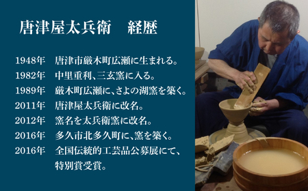 【唐津焼】二彩唐津松文花瓶 / 佐賀県 / 太兵衛窯 [41ADBR026]