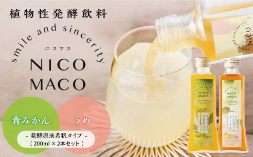 
【定期便3回】植物性発酵飲料「NICOMACO」2本セット（青みかん、うめ） 発酵飲料 発酵 希釈 原液 滋賀県 甲賀市 発酵飲料水 青みかん 梅 うめ 果物 くだもの てんさい糖 てんさい
