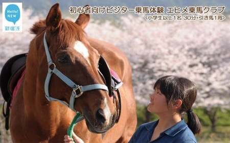 初心者向け ビジター乗馬体験 エヒメ乗馬クラブ（小学生以上1名 30分+引き馬1周）