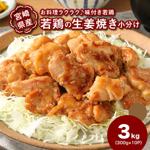 簡単調理 宮崎県産若鶏の生姜焼き 小分け 3kg(300g×10P) _K16_0132_1