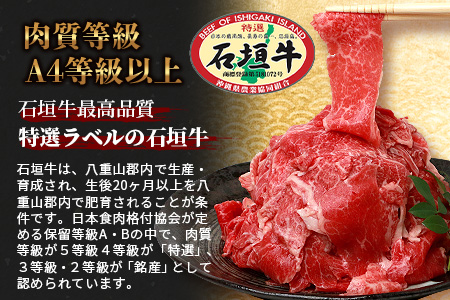 石垣牛 切り落とし スライス (300g×4パック) 計1.2kg AB-25-1