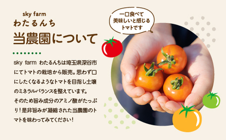 KINGトマト・プチぷよトマトジュース 2本セット 【11218-0892】