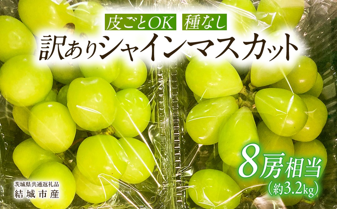 【 訳あり 】 シャインマスカット 8房相当（約3.2kg） 【2026年9月より発送開始】 田舎の頑固おやじが厳選！（茨城県共通返礼品 [ぶどう]：結城市産） 果物 フルーツ 不揃い わけあり 家庭用 フルーツ ブドウ 果物 ぶどう シャイン マスカット くだもの