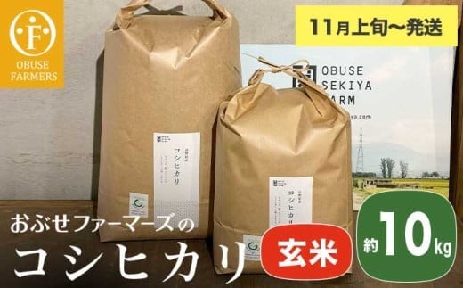 コシヒカリ 玄米  約10kg ［ おぶせファーマーズ ］ お米 コメ おこめ ご飯 精米 長野県産 【2025年11月上旬～発送】 ［FK-14］