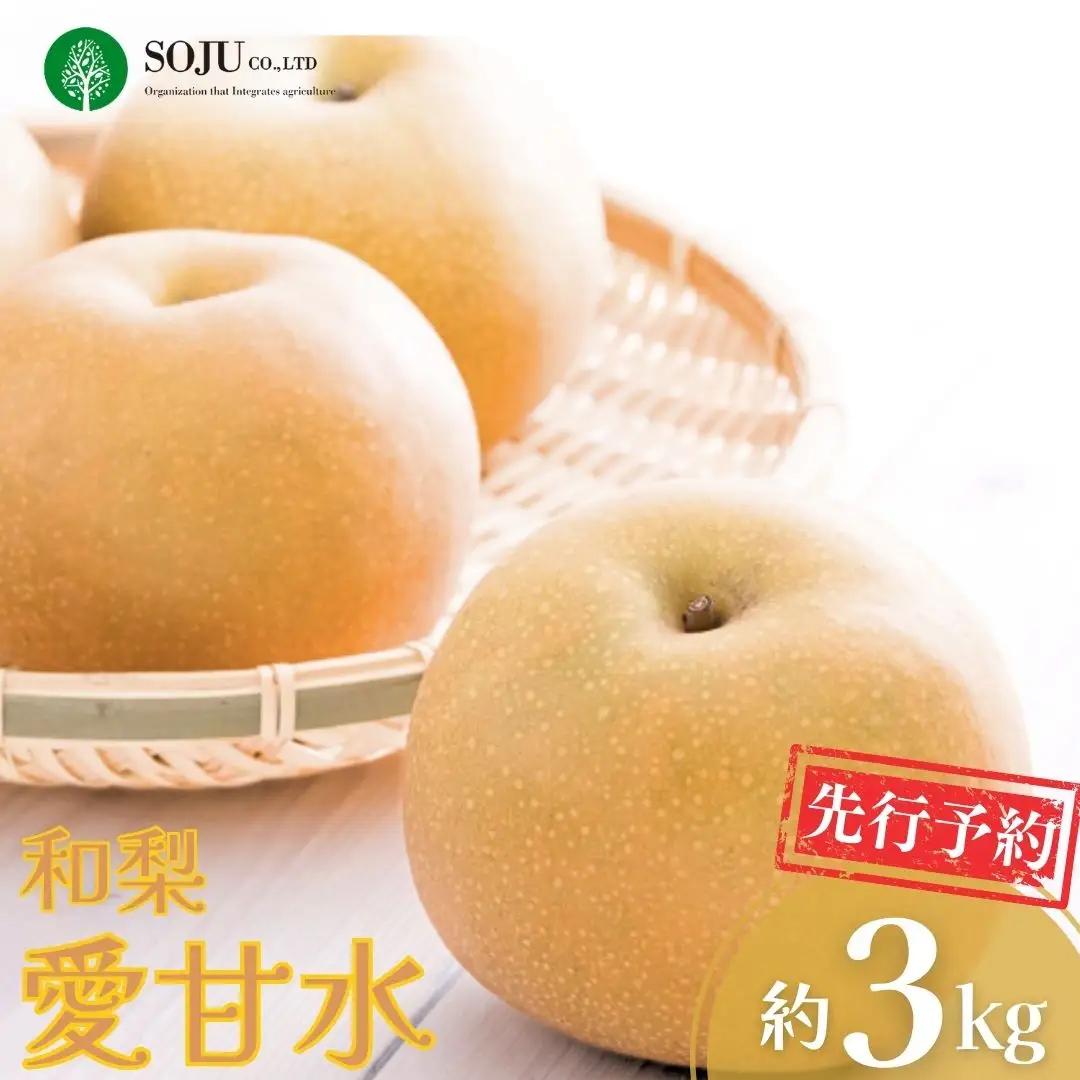 先行予約 和梨 愛甘水 約3kg 令和8年度 新潟県 三条市産 梨 [三条果樹専門家集団]【016P025】