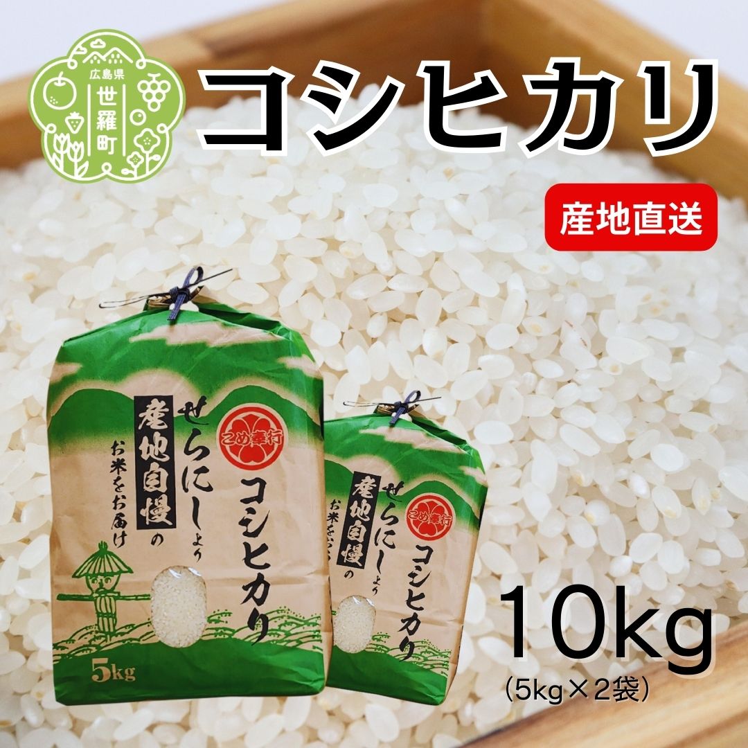 【ふるさと納税】【令和7年産】コシヒカリ 5kg×2袋《白米》合計 10kg こしひかり 米 お米 ご飯 ごはん おにぎり 令和7年 世羅産 A023-02