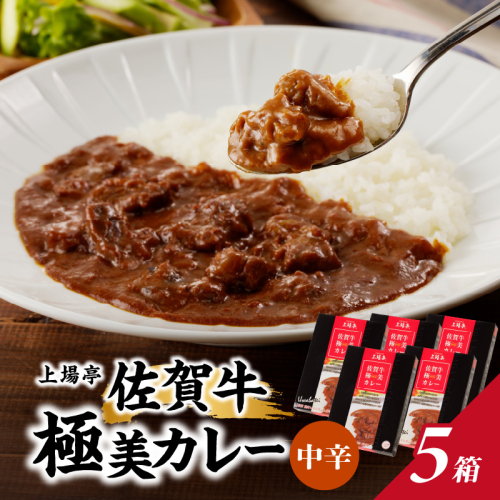 佐賀牛極美カレー（中辛）【200ｇ×5箱】