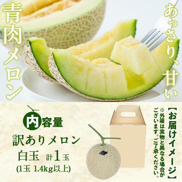 【冬限定・数量限定】牧さんの訳ありメロン 白玉(青肉)1玉 メロン マスクメロン 果物 くだもの デザート 赤肉 訳あり a1-058-w