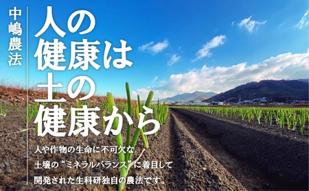 原田兄弟の一番玉ねぎ ５kg