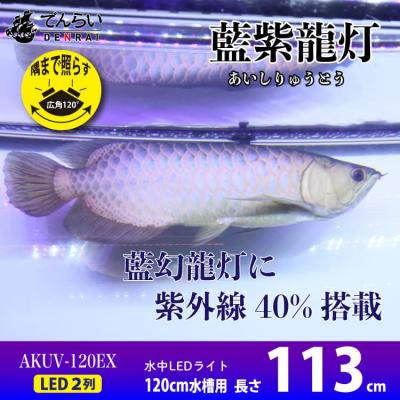 ふるさと納税 小牧市 スリム&amp;高耐久!金龍を美しく、UV-Aチップ配合の水中LED|AK-120UV-EX[172C15]