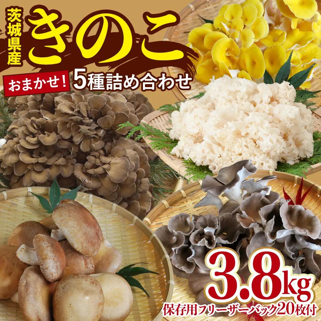 きのこ 5種 詰め合わせ 約3.8kg 【 保存用フリーザーバック 20枚付き 】 （AU005）