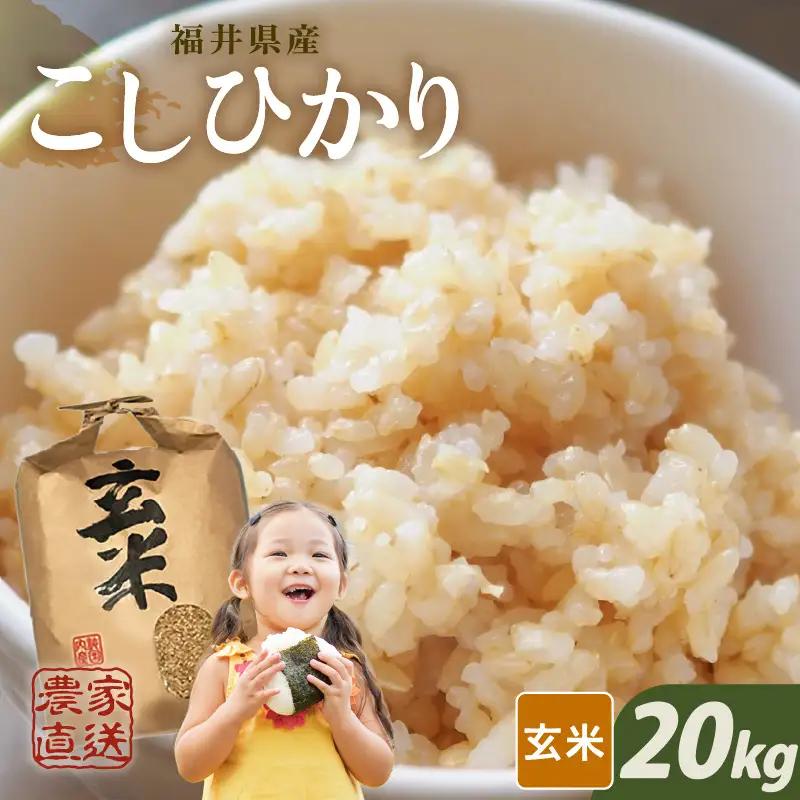 【先行予約】【令和8年産・新米】【玄米10kg×2袋】福井県産 コシヒカリ20kg 【2026年10月上旬以降順次発送】 [D-8918_02]
