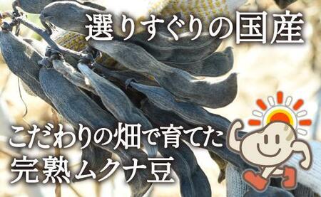 国産ムクナ豆粉末 300g×1袋【老舗生薬屋の無添加ムクナ豆】 A-505