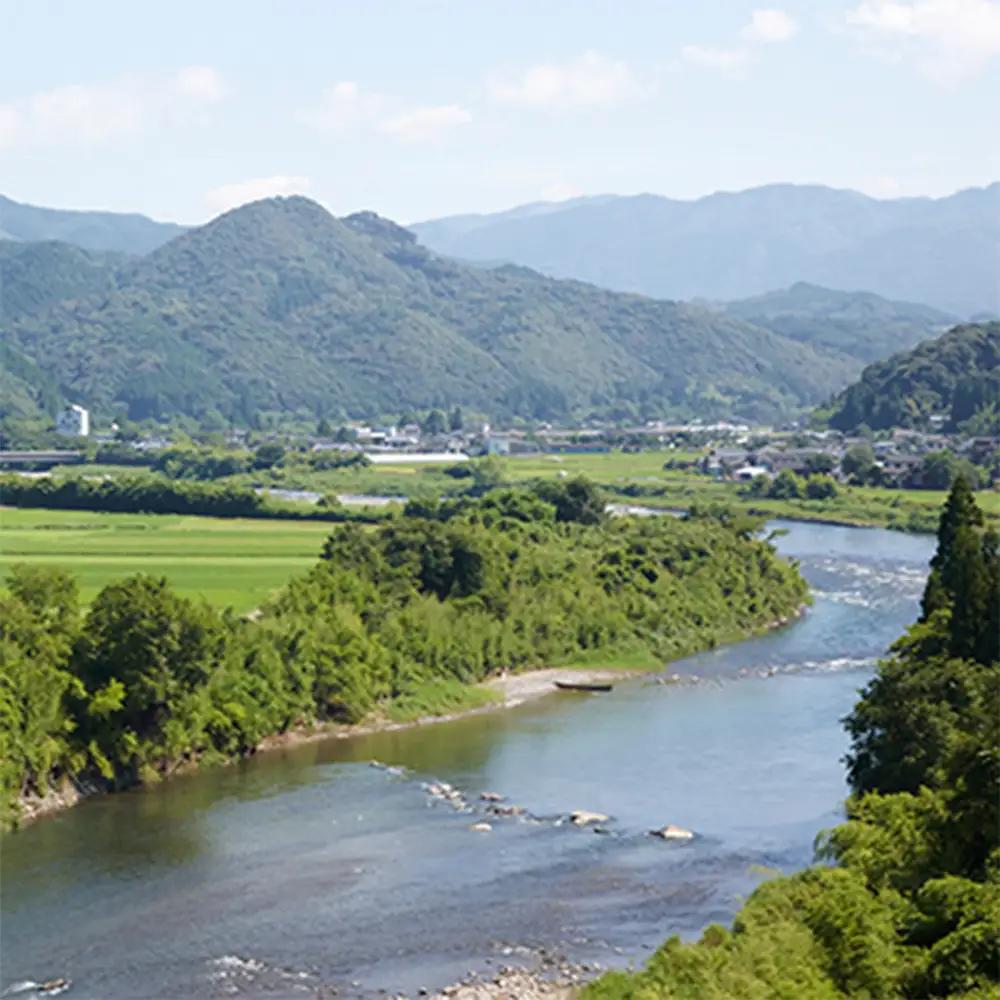 【定期便 年3回】 本格米焼酎 「白岳しろ」25度 720ml× 6本×年3回(2,6,10月発送) 高橋酒造 白岳 018-0479