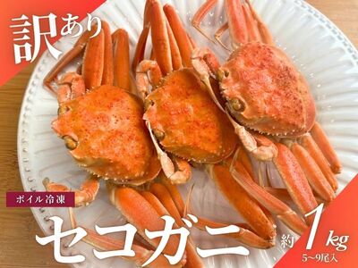【11月～2月発送】【訳あり】新潟県村上市寝屋漁港産　セコガニ 約1kg（5～9尾入）C4088
