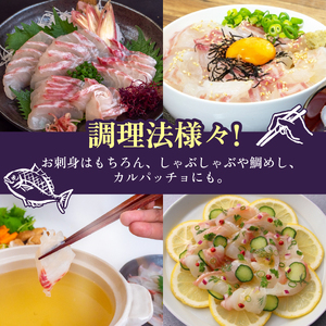 真鯛 刺身 250g 真鯛