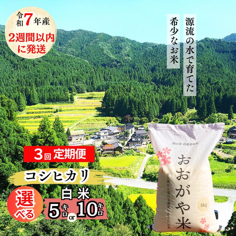 【ふるさと納税】＜2週間以内に発送＞R7年産　新米受付開始　【3回定期便】 おおがや米 コシヒカリ　岡山県　西粟倉村　白米5kg・10kg G-al-BECA