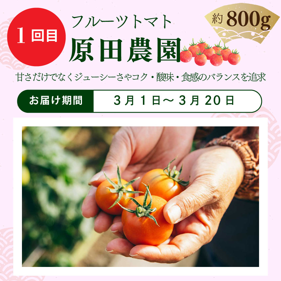 ＜フルーツトマト 計４回 定期便＞ ４農家からリレーでお届け