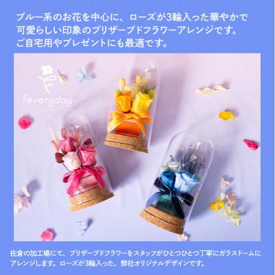 ふるさと納税 佐倉市 プリザーブドフラワーローズドーム ブルー系 お祝いやお誕生日におすすめ |  | 01
