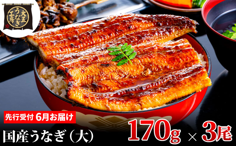 
            [№5695-1875]先行受付 【6月上旬配送】 うなぎ蒲焼 170g×3尾(510g) うなぎ 鰻 蒲焼 蒲焼き 大五通商 静岡 島田市
          