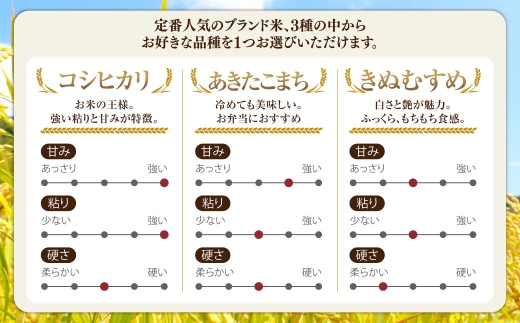 子育て応援米 【 令和7年産 】 奈義町産米 BG無洗米 きぬむすめ 5kg 【 窒素充填包装 】 お米 米 白飯 飯 ご飯 おにぎり 和食 ブランド米 岡山県産 国産