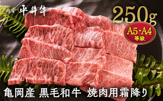 数々の誉れに輝く最高峰 黒毛和牛「平井牛」A5・A4 焼肉用 霜降り 250g 京都 丹波牧場 自家産≪三角バラ・トモバラ・カルビ・カイノミ・ミスジ 希少 和牛 京都肉 冷凍 真空 BBQ キャンプ≫