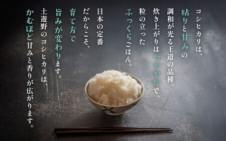 有機米 コシヒカリ 10kg　棚田-tanata-（有機JAS認証米）